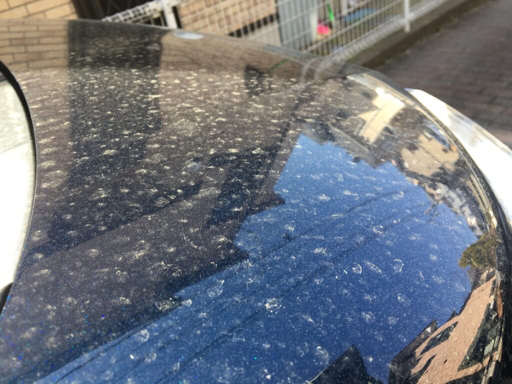 車のボディに付着した花粉汚れのアップ
