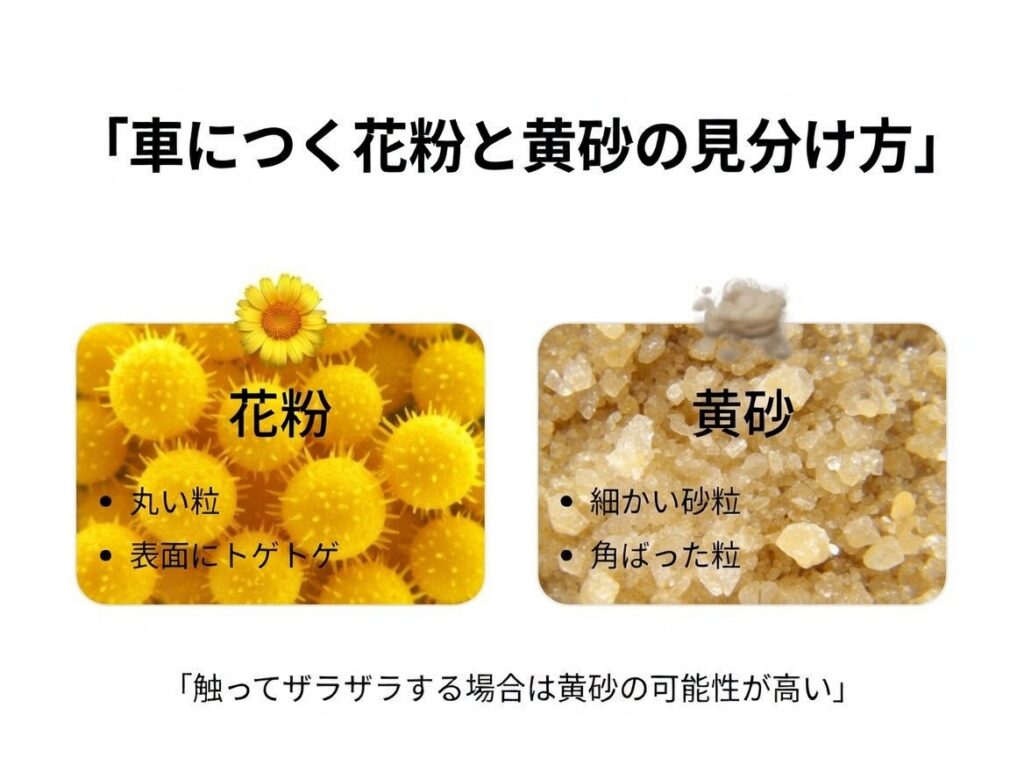 車につく花粉と黄砂の見分け方を顕微鏡イメージで比較した図
