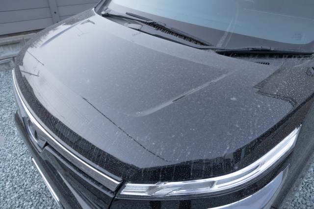 花粉がしっかり付着した車の状態(泡ブローコートがおすすめ)