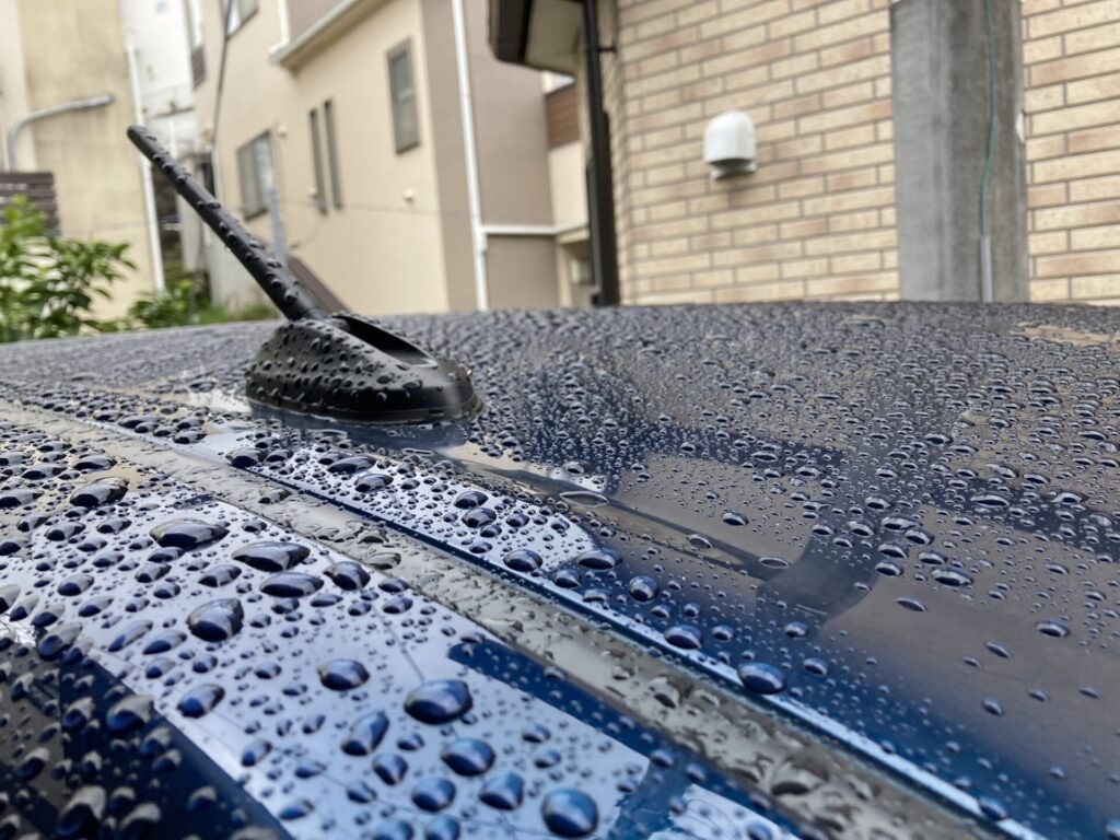 洗車直後のルーフ。この時点では花粉は付いていない。