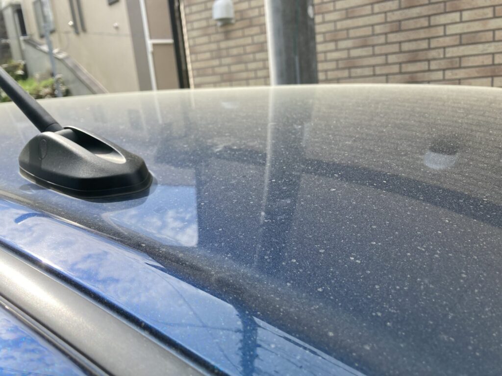 洗車から7日後。ルーフに花粉がびっしり積もっている。