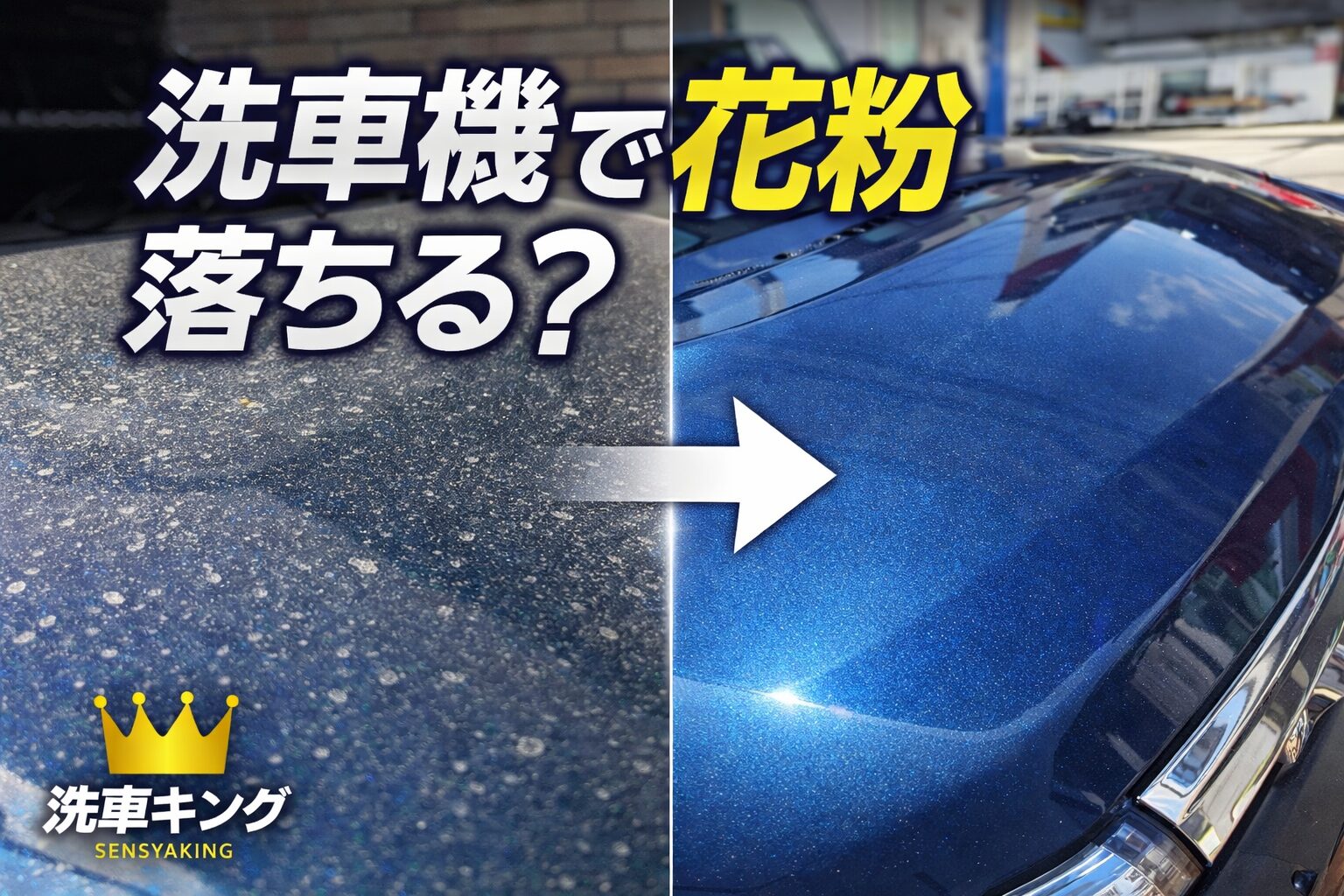 洗車機で車の花粉汚れが落ちるかを解説するビフォーアフター画像